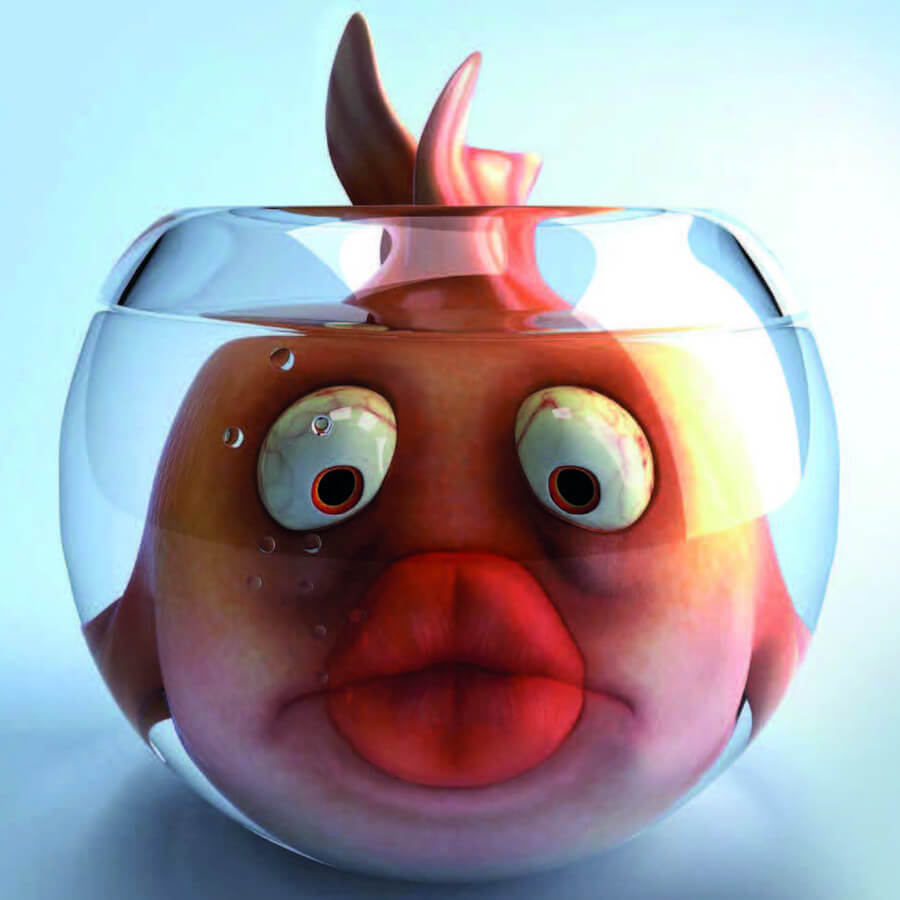 suction cup stickers